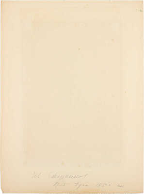 Свешников Иван Иванович. Портрет Туси